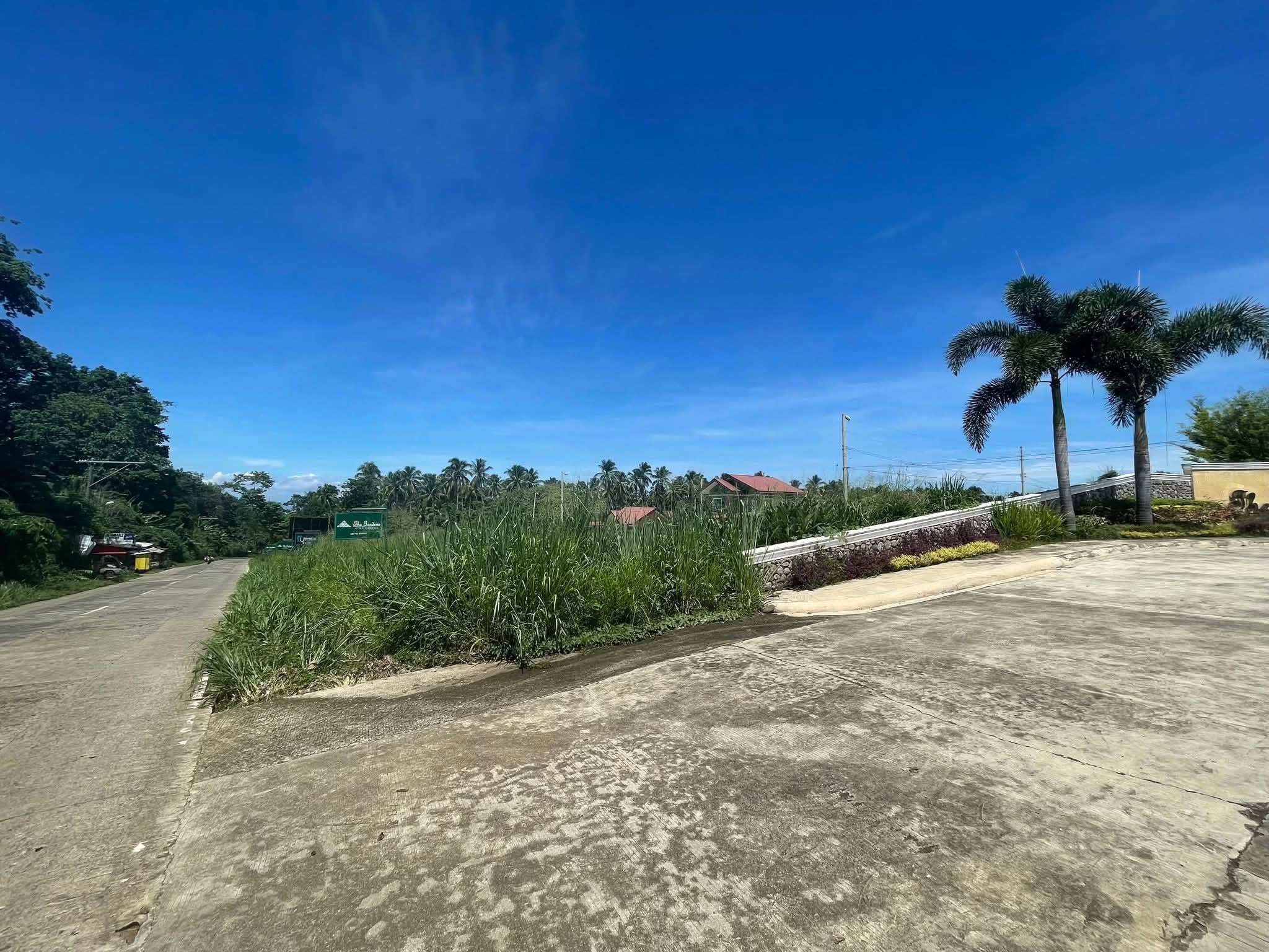 Prime Commercial Corner Lot For Sale | The Gardens at South Ridge, Toril, Davao City