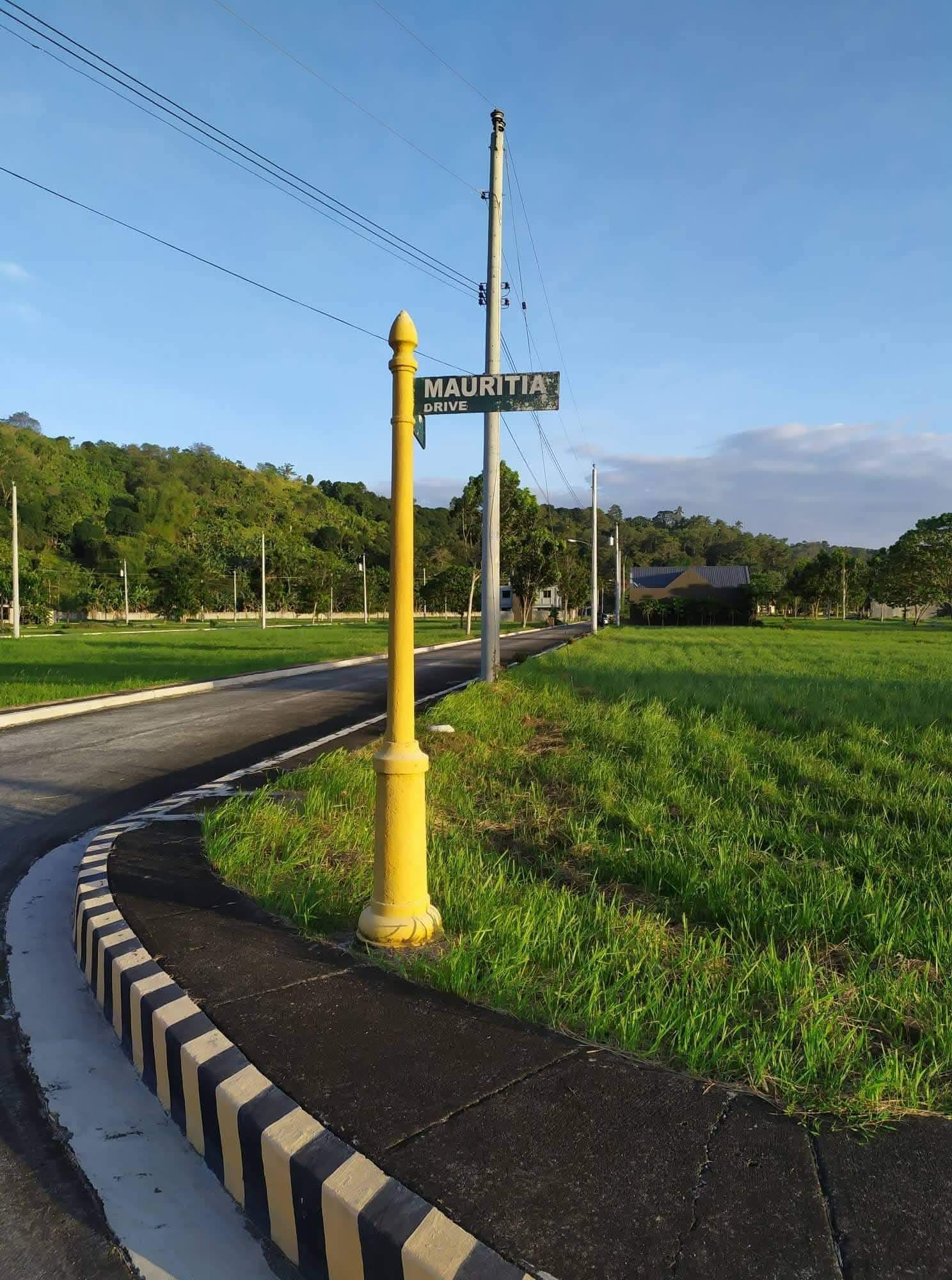 Corner Residential Lot For Sale | Las Palmas Verdes, Brgy. Mandug, Davao City
